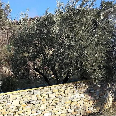 καλύβη *
